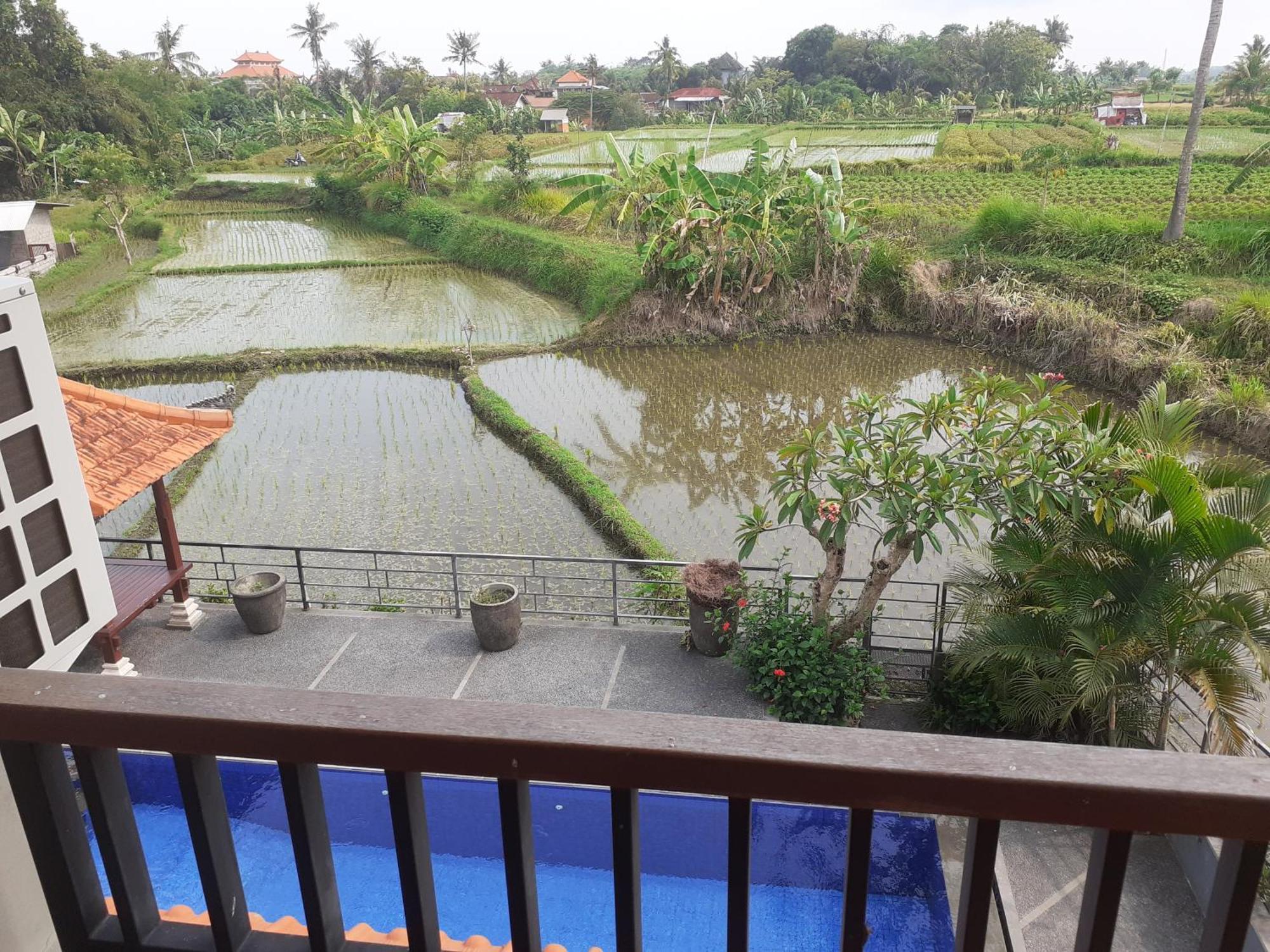 Apartamento Griya Bun Sari Sukawati Exterior foto