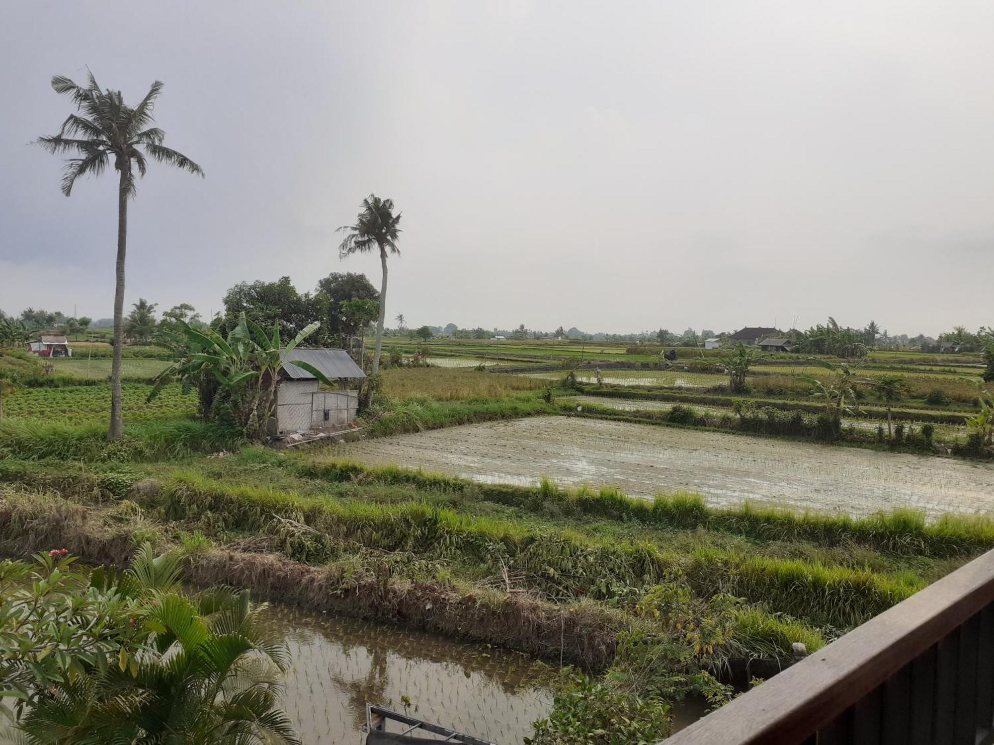 Apartamento Griya Bun Sari Sukawati Exterior foto