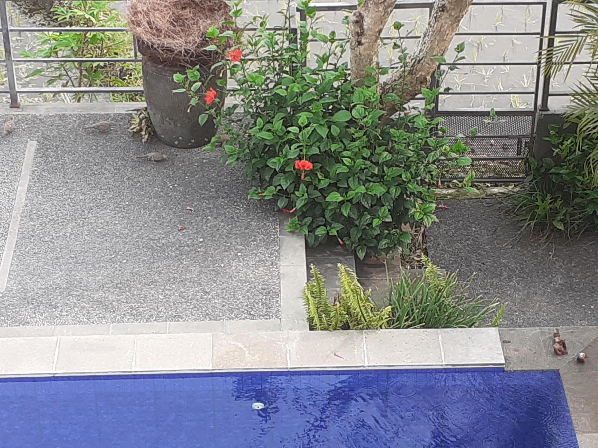 Apartamento Griya Bun Sari Sukawati Exterior foto